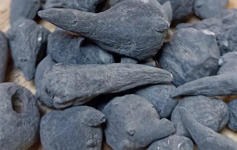 جدوار سیاه خطایی نیاز هرب
