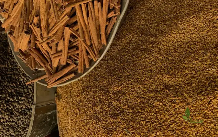 سلیخه یا مارچوبه هندی