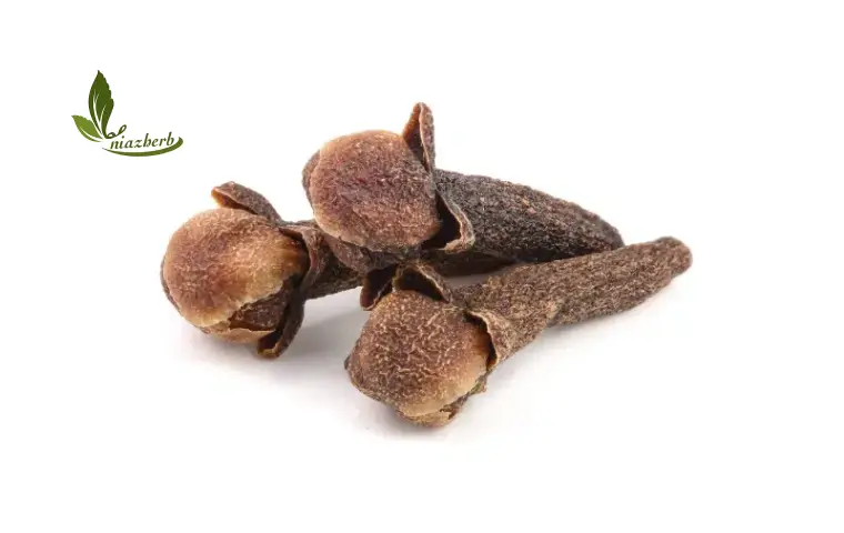 کیفیت بالا در خرید میخک