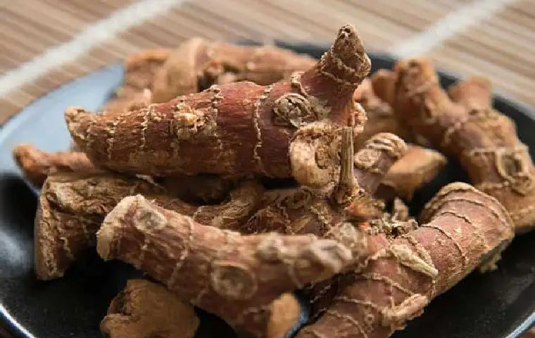 ریشه گیاه قولنجان خشک شده