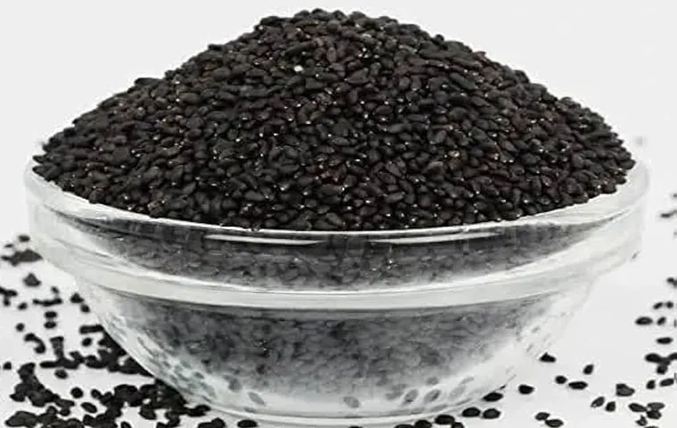 دانه باپچی