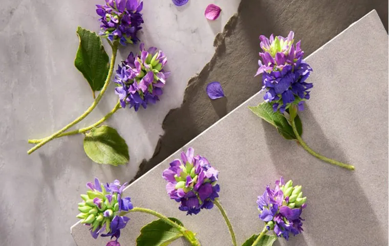 گیاه باپچی