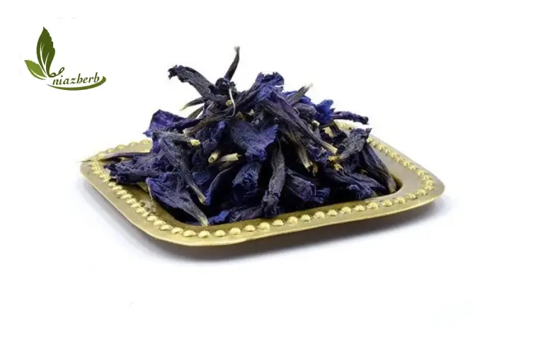 گل گاو زبان عمده در ظرف