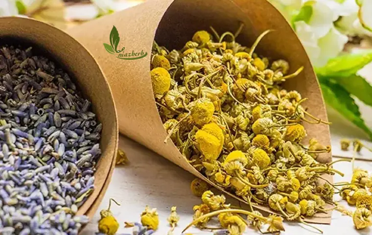 گیاه بابونه خشک شده ریخته شده از قیف کاغذی