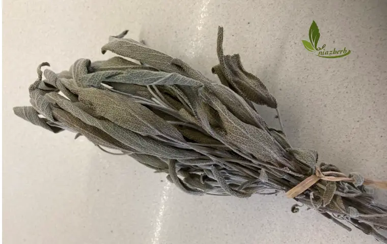 یک دسته مریم گلی خشک شده