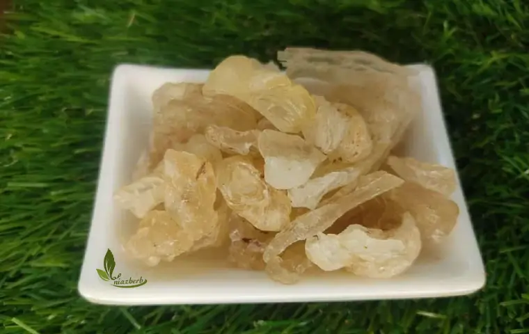 یک ظرف کتیرا خرمنی بر روی چمن مصنوعی