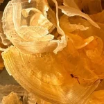 خرید عمده کتیرا خرمنی اصفهان