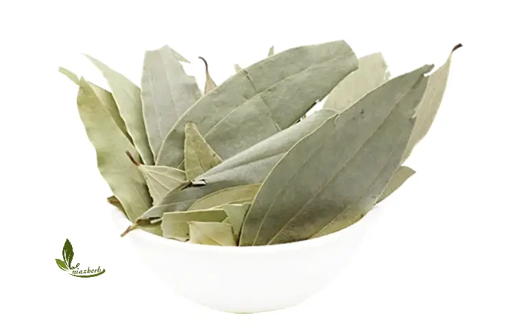 یک ظرف سفید پر از برگ بو