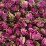 غنچه گل محمدی داراب عمده نیازهرب