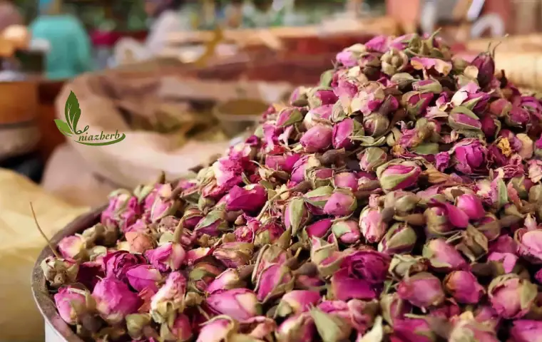 غنچه گل محمدی داراب جمع آوری شده