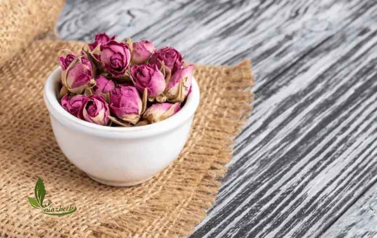 غنچه گل محمدی داراب بر روی میز