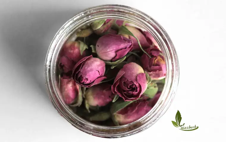 غنچه گل محمدی کرمان در ظرف شیشه ای