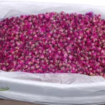 یک کارتن غنچه گل محمدی کرمان برای صادرات