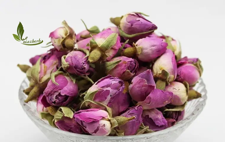 غنچه گل محمدی کرمان در پیاله شیشه ای