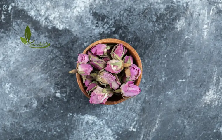 غنچه گل محمدی کرمان از نمای بالا روی سطح طرح دار