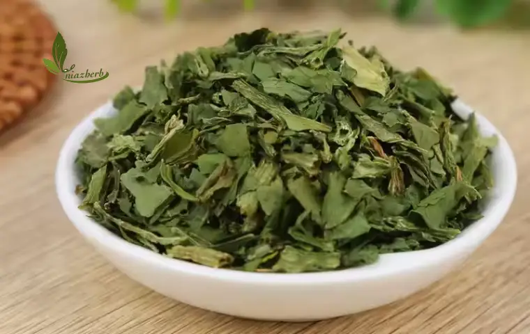 اسفناج وحشی خشک شده در ظرف سفید