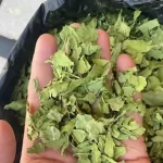 محصول با کیفیت از اسفناج وحشی حجم عمده