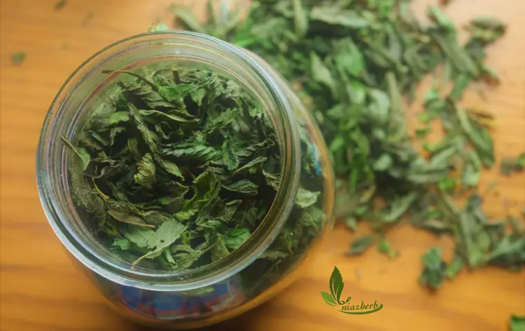 یک شیشه پر از نعنا فلفلی با کیفیت بالا بر روی میز