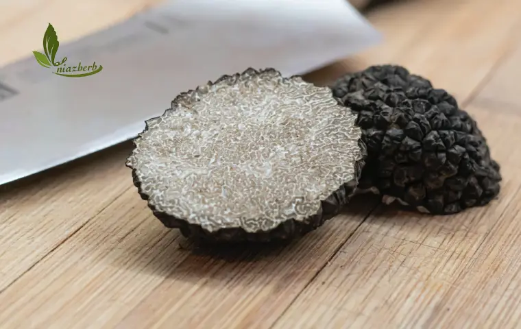 قارچ ترافل برش خورده سیاه