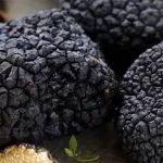 خرید قارچ دنبلان سیاه در نیاز هرب