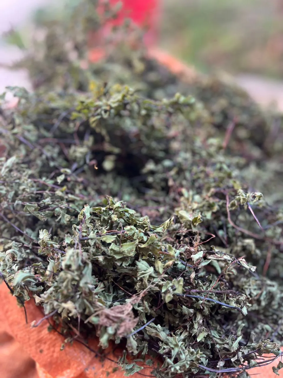 WhatsApp Image 2025-10-29 at 10.28.48 copy