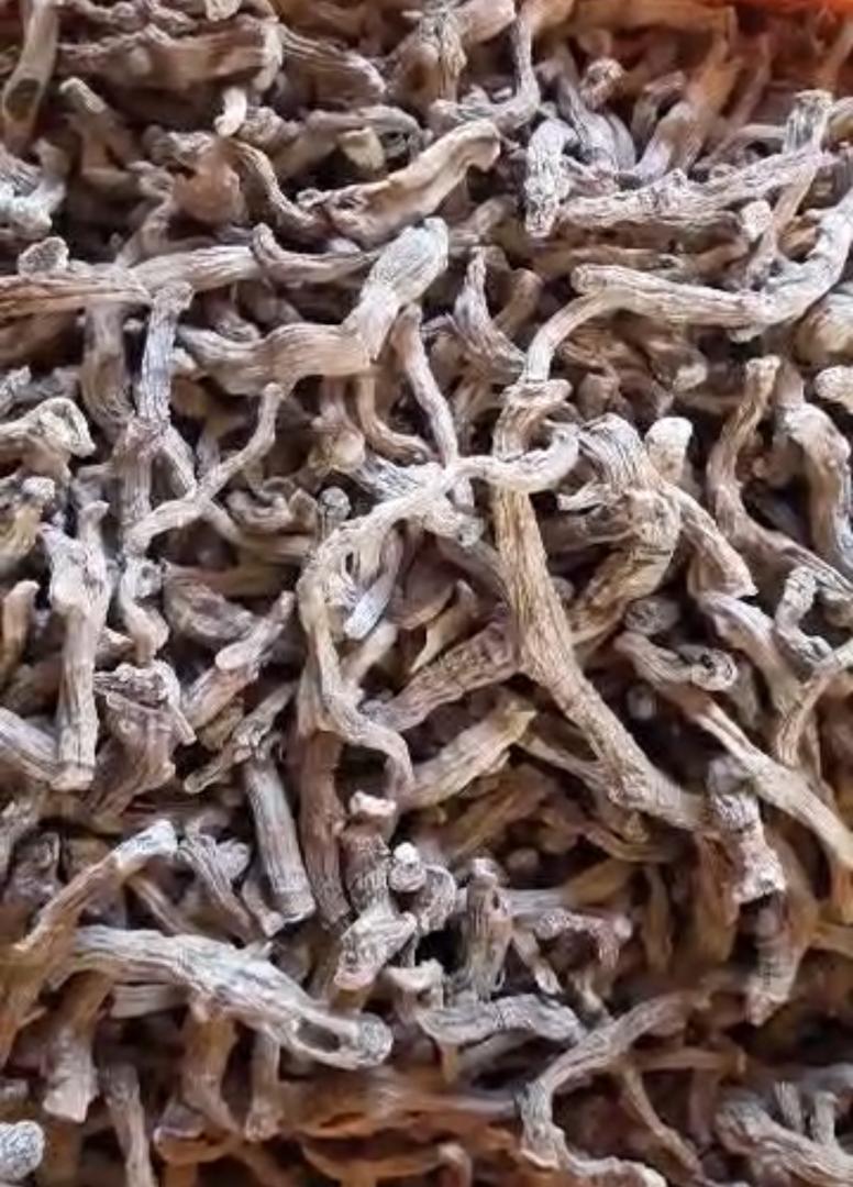 WhatsApp Image 2025-11-30 at 02.16.44