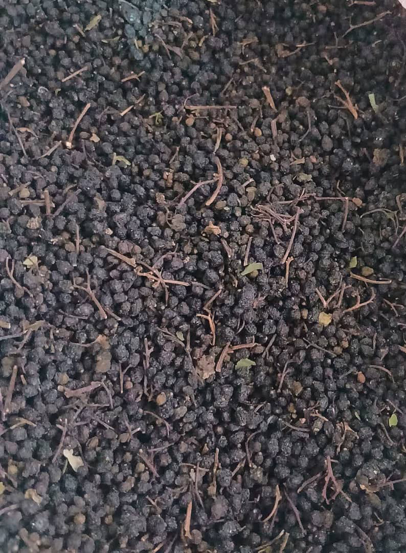 WhatsApp Image 2025-12-09 at 10.45.05 copy