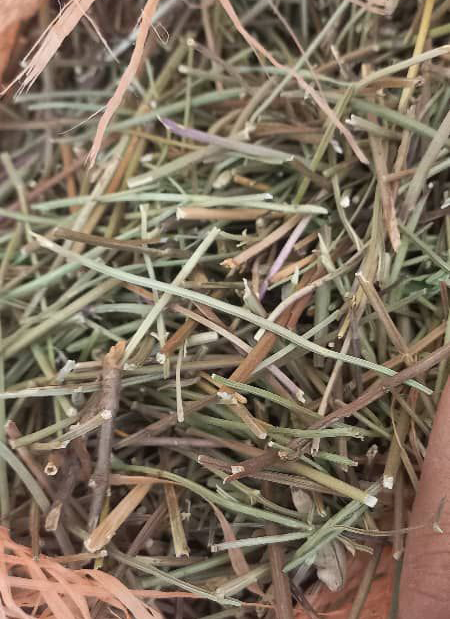 WhatsApp Image 2025-12-09 at 16.41.17 copy