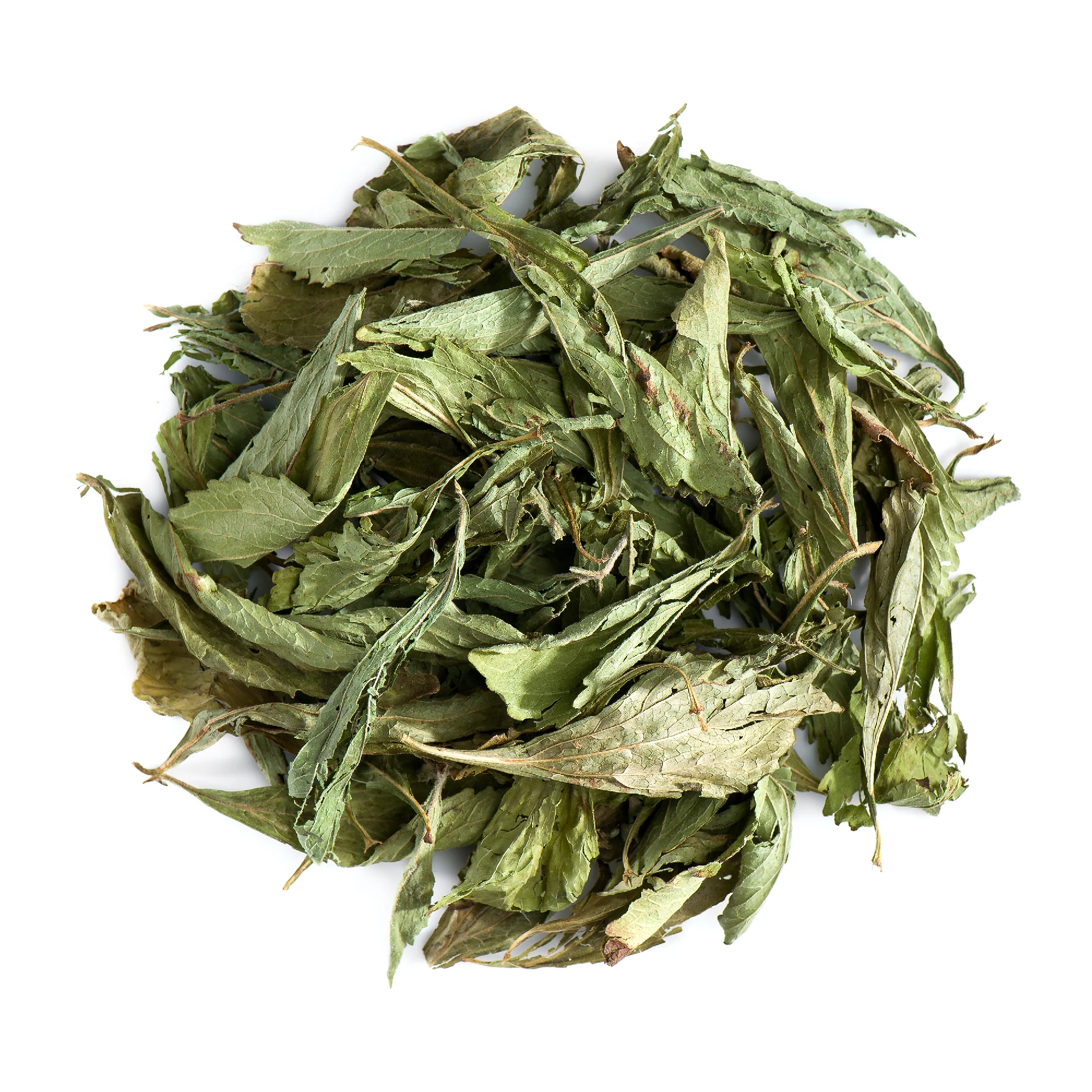 stevialeaf1_5000x